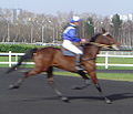 120px-Horse_racing_DSC03734