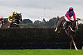 120px-Steeplechase_Horses_Jumping_(2932758577)