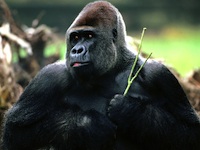 My photo for Janice to add to the article