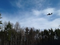 plane over pond