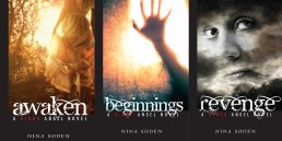 Blood Angel Series Cover Poster Nina Soden