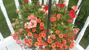 20140719_113258_resized