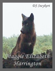 cover1c - grey title