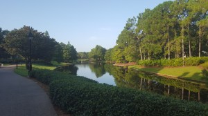 traveling on boat between parks