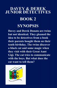 DD Back cover Synopsis blue