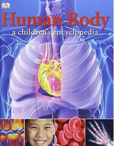 Human Body