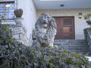 Sally Cronin garden photo