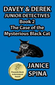 The Case of the Mysterious Black Cat