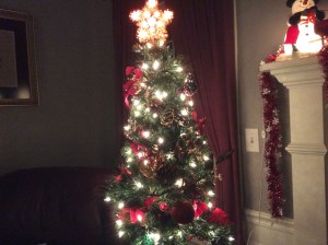 B9A6E154-CFF2-4707-A9EB-7BD13E7F3813