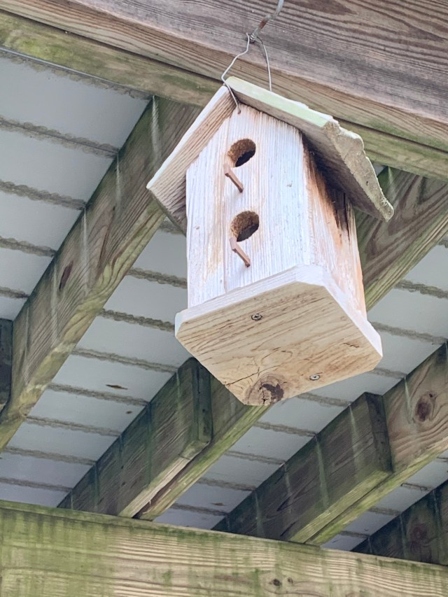 Duplex Bird house