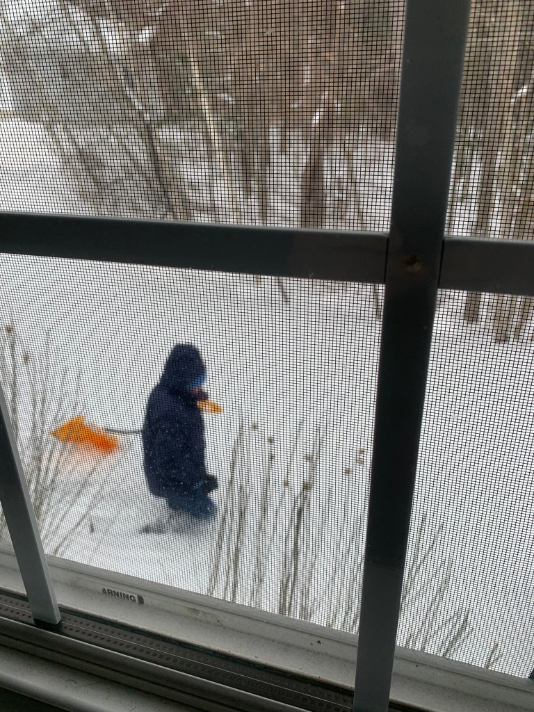 A person wearing a blue jacket and gloves shoveling snow with an orange shovel, seen through a window screen.