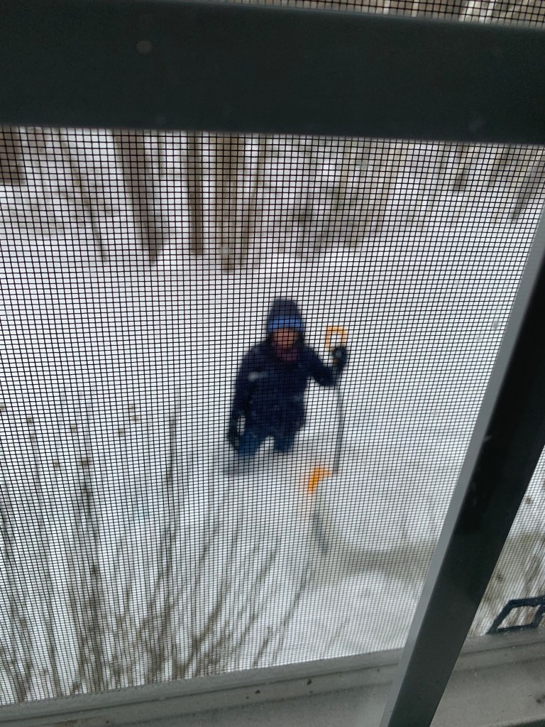 A person shoveling snow in a winter landscape, viewed through a screen window.