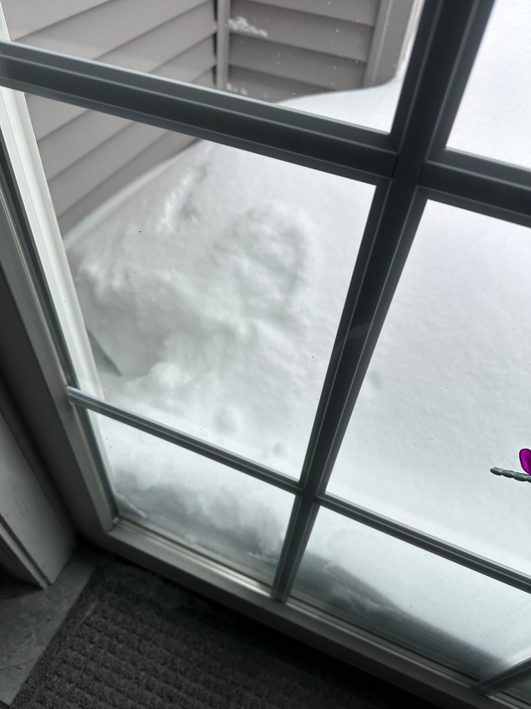View of a snowy landscape outside a glass door, showing a thick layer of snow piled against the door.