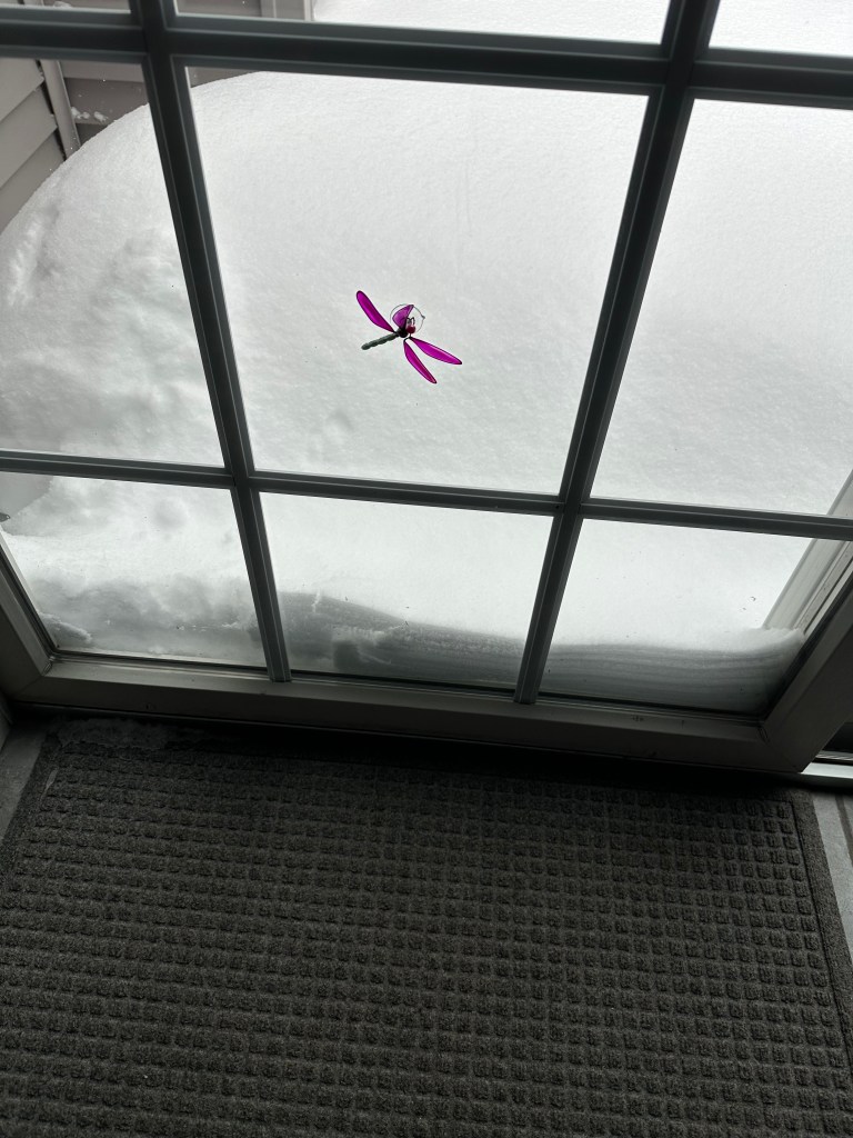 A close-up view of a window covered in snow, featuring a decorative pink dragonfly stuck to the glass, with a dark gray mat visible on the floor.