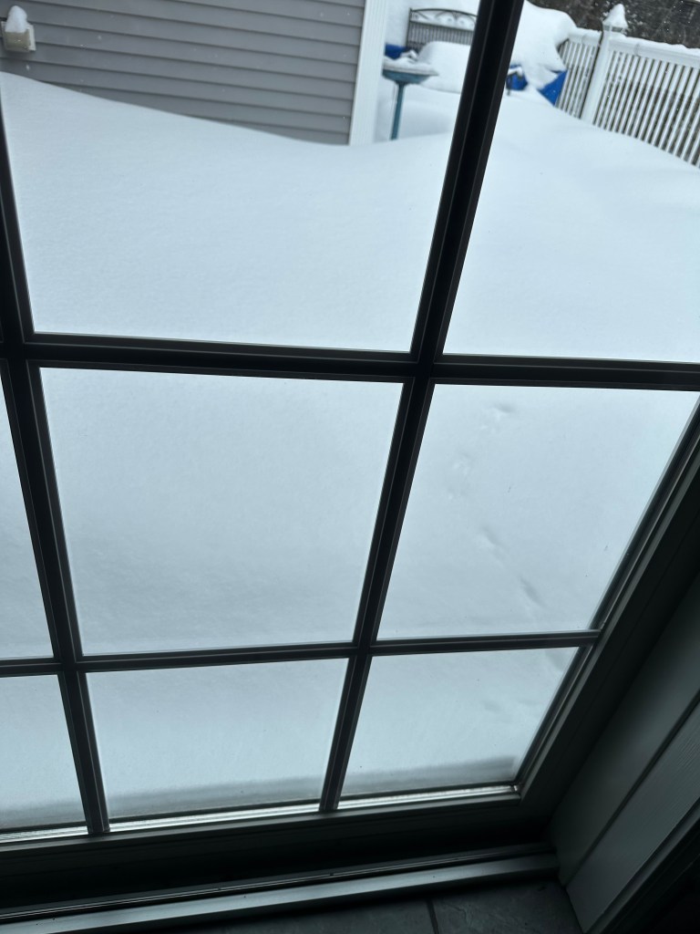 A view through a window showing deep snow covering the ground outside, with a blurred background of a house and furniture.