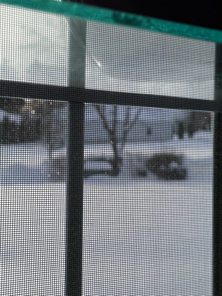 A view through a window screen showing a snowy landscape with bare trees.