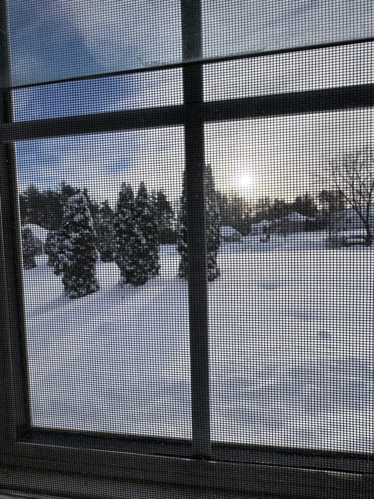 View of a snowy landscape seen through a window screen, with conifer trees in the foreground and a soft morning light illuminating the scene.