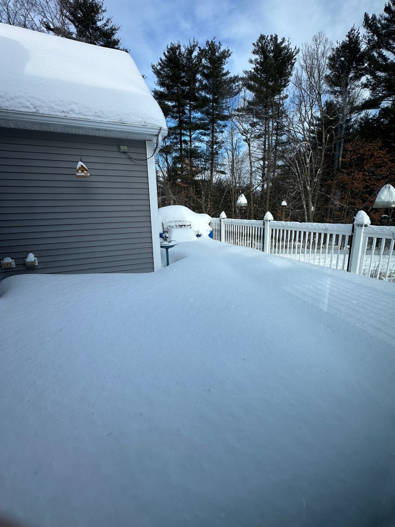 A snowy backyard scene with a depth of snow covering the patio and surrounding area, featuring trees in the background and a gray house.