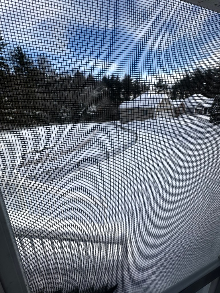 Snow-covered landscape viewed through a window screen, featuring a house and trees in the background.