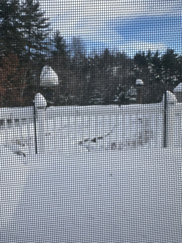 A snowy backyard view seen through a screen, with a snow-covered fence and trees in the background under a partly cloudy sky.