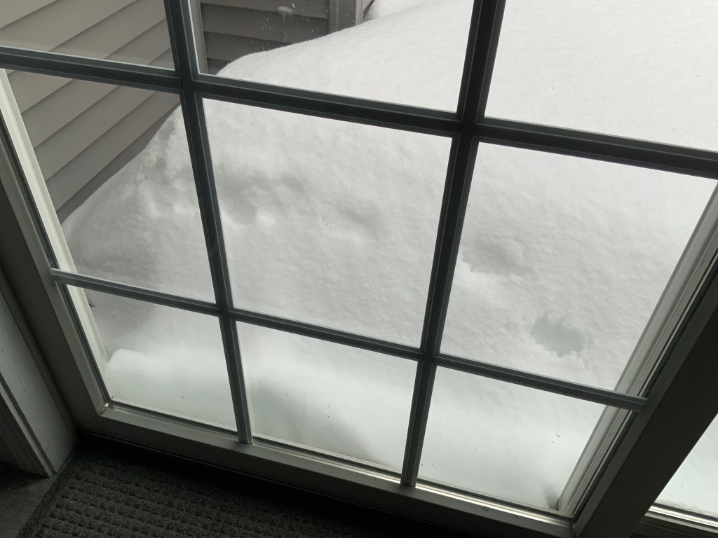 A view through a glass door showing heavy snow accumulation outside, covering the ground and surrounding areas.